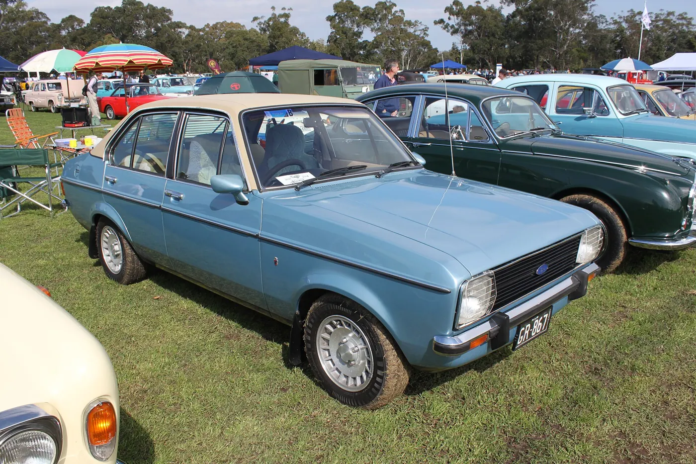 1979 Ford Escort in Blue